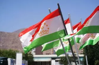 Сокращение Таджикистана причины последствия и перспективы развития